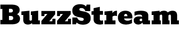 WordPress Website