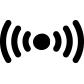 WordPress Website
